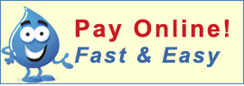 0021476-payonline