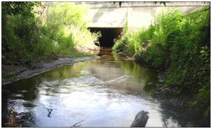 Howell creek before