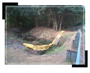 Before lake of the wood