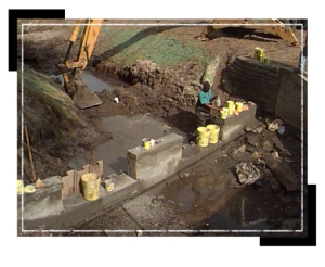 0024470-operations_projects_woods2