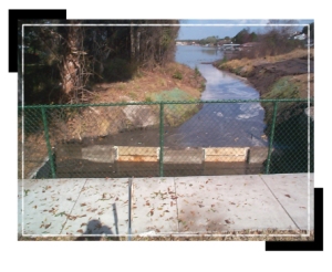 0024550-operations_projects_woods3 0024550-operations_projects_woods3