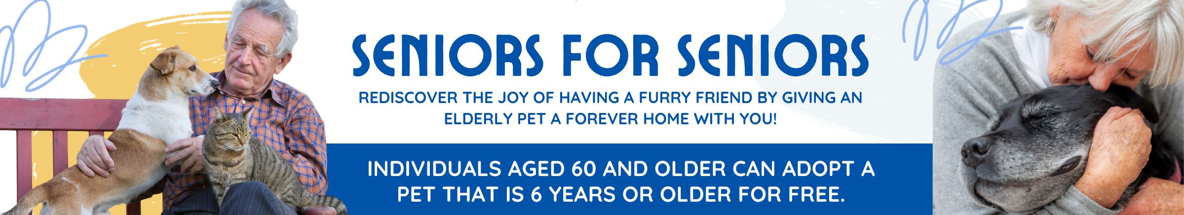 AS-Seniors-for-Seniors-Web-Banner