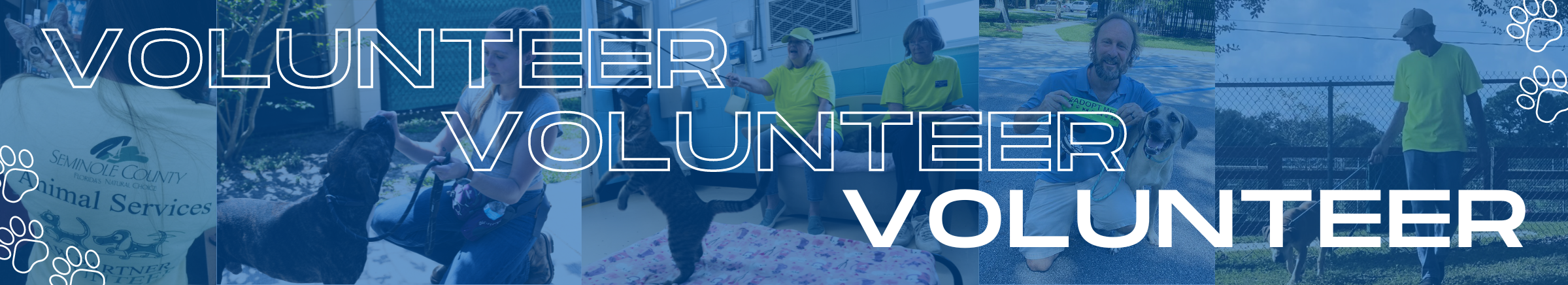 AS-volunteer-web-hero