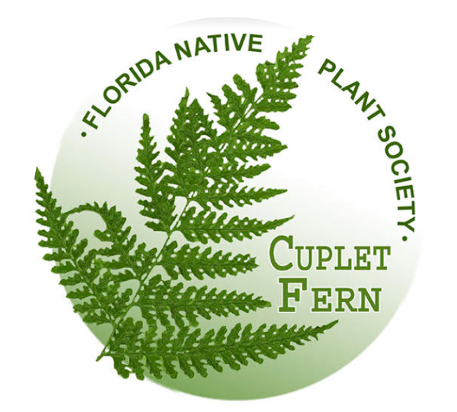 Cuplet-Fern-Logo