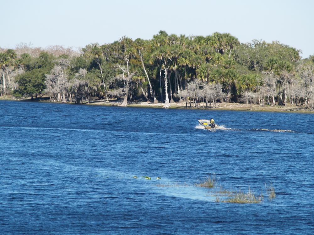 FL-Lakewatch fl lake