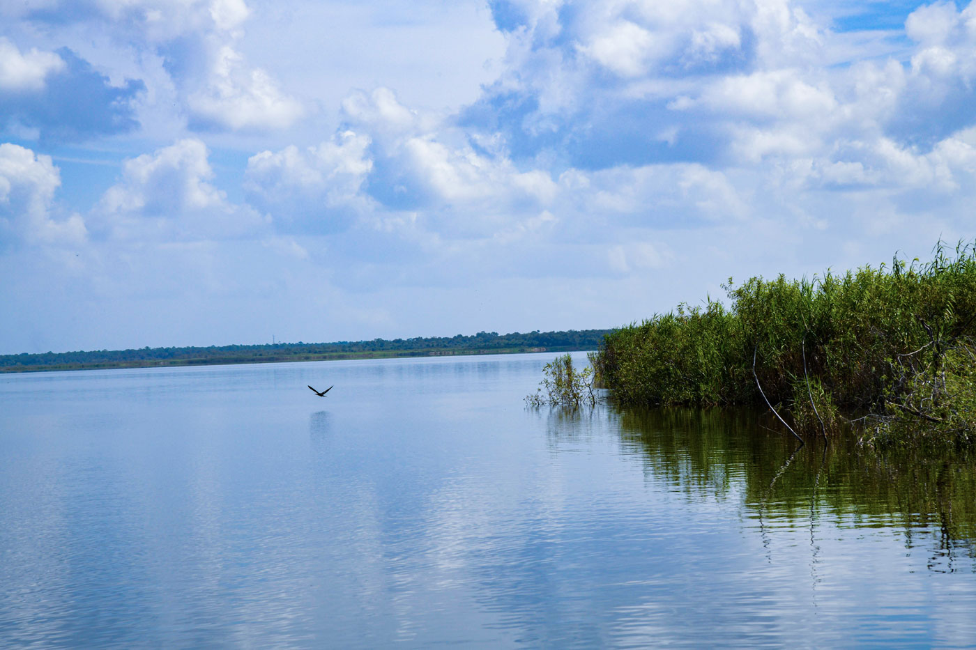 Lake Management Lake Management