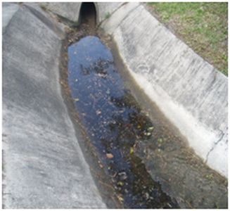 miami_springs1