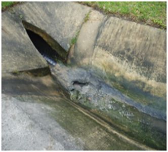 miami_springs4