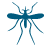 mosquito