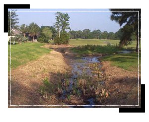 operations_pond_fenway1