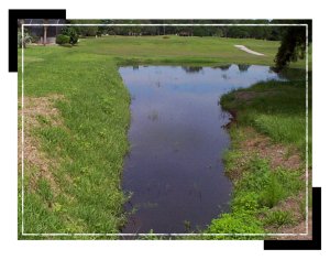 operations_pond_fenway3