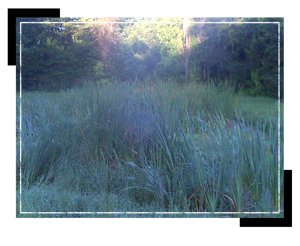 operations_pond_lordand1 operations_pond_lordand1