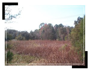 operations_pond_shannon1