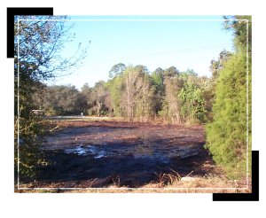 operations_pond_shannon3