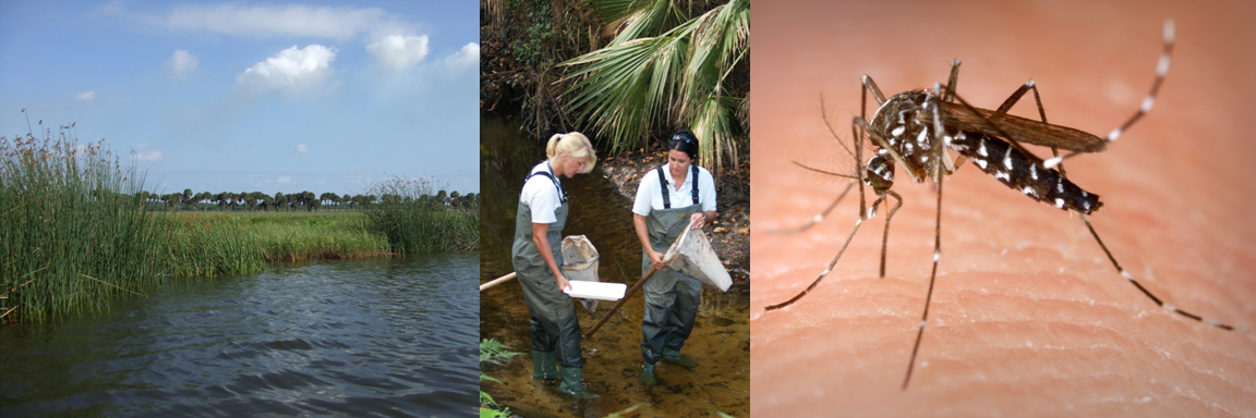 watershed-management