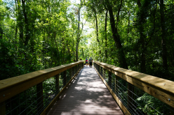 Lake-Mills-Park-Boardwalk-Trail_thumb