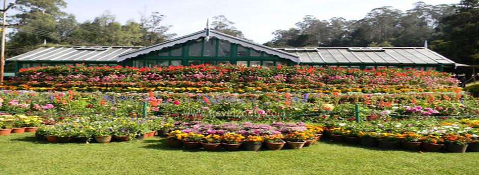 botanical-garden-glasshouse